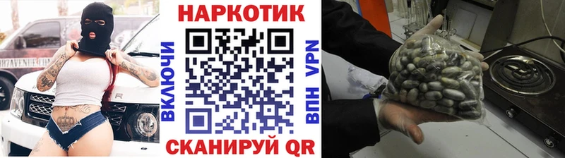 ГАШ Липки