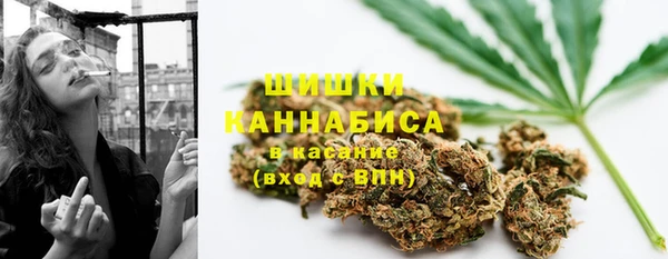 индика Арсеньев