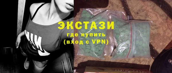 индика Арсеньев