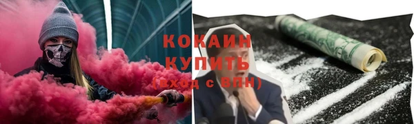 индика Арсеньев