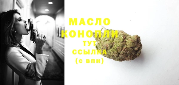 индика Арсеньев