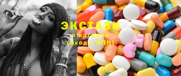 индика Арсеньев