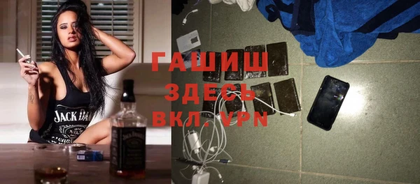 индика Арсеньев