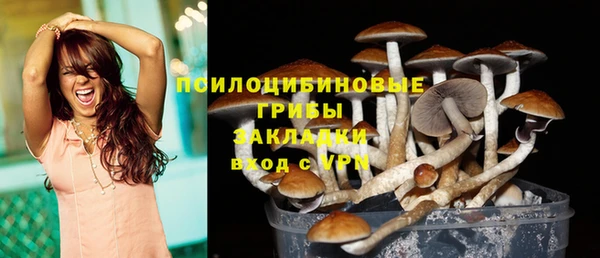 индика Арсеньев